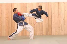 Image result for Yoseikan Budo England