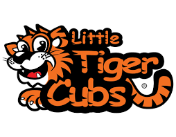 Image result for Kidderminster Tae Kwon Do Tigers