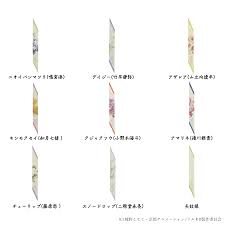 「二階堂桐」の画像検索結果