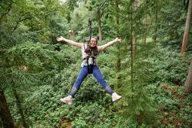 Image result for Go Ape! Dalby