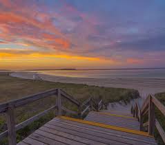 Image result for Ipswich Sc