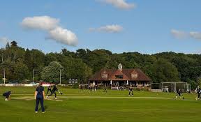 Image result for Shenley Village Cricket Club