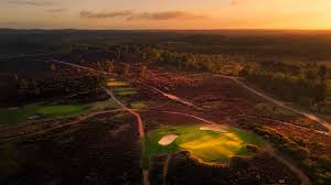 Image result for Hankley Common Golf Club