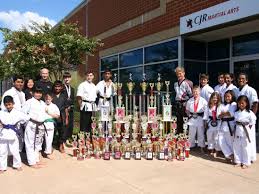 Image result for Northern Freestyle Karate Association