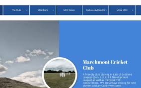 Image result for Runnymede Rascals Cricket Club