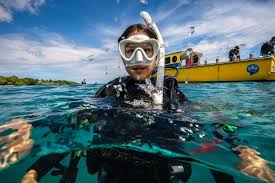 Image result for Stortford Divers