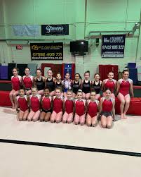 Image result for City Of Newcastle Gymnastics Academy