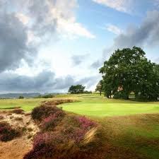 Image result for Betchworth Park Golf Club