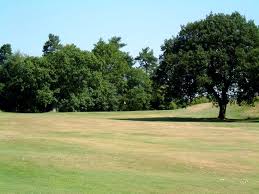 Image result for Garesfield Golf Club
