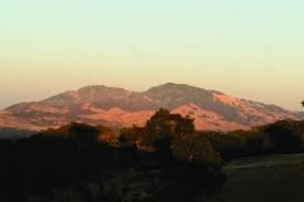 Image result for Thaddus Haenke