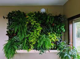 Image result for living wall