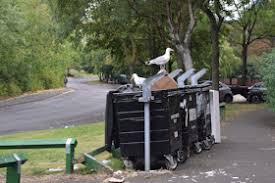 Image result for Byker Village Bowls Club