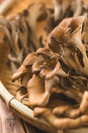 Attēlu rezultāti vaicājumam “Grifola frondosa”