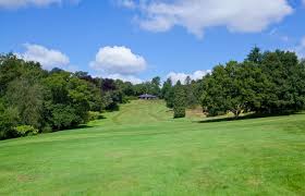 Image result for Dorking Snorkelling Club