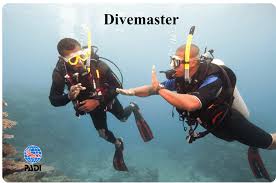 Image result for Divemaster Scuba