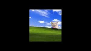 Image result for love windows xp wallpaper