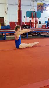 Image result for Appley Bridge Gymnastics Club
