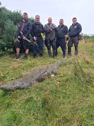 Image result for Whitby Company Of Archers