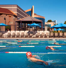 Image result for Selby Tiger Sharks Swimming Club