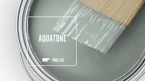 Image result for Aquatone Classes