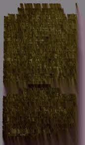 Attēlu rezultāti vaicājumam “Jalla dumosa imago”