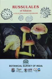 Attēlu rezultāti vaicājumam “Russulales”