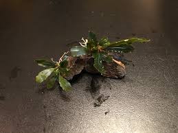 Image result for 201205.html#201205031