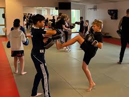 Image result for Vipers Thai/Kickboxing School