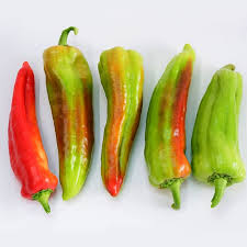 Afbeeldingsresultaat voor aconcagua sweet pepper