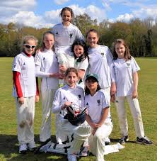 Image result for Ballinger Waggoners Cricket Club