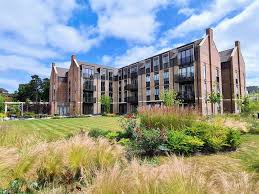 Image result for Byfleet Cricket Club