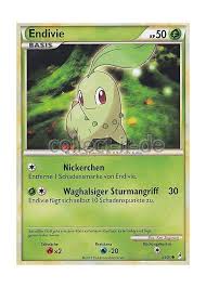 Image result for Endivie