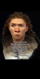 Image result for Anglo-American Sac