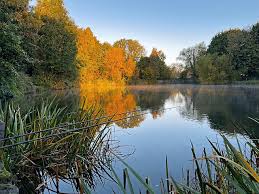 Image result for Cobham Court Angling Club
