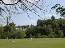Image result for Saltaire Cricket Club