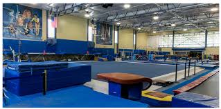 Image result for Fish trampoline and gymnastics club