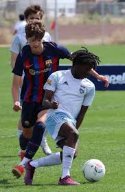 Image result for Caerbryn Association Football Club