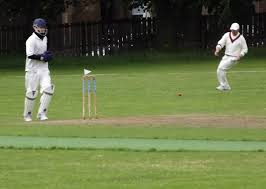 Image result for Hillhead Cricket Club