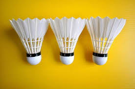 Image result for Manchester Feathers Badminton Club