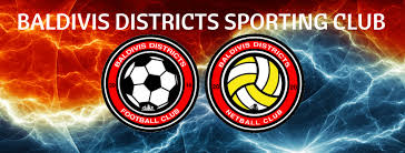 Image result for Brigg & District Netball Club