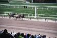 Belmont Park - Wikipedia, the free encyclopedia