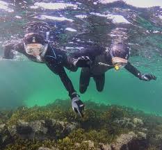 Image result for East Snorkellers