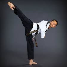 Image result for White Tiger Martial Arts