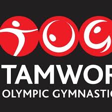 Image result for Tamworth Olympic Gymnastics Club