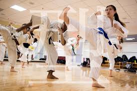 Image result for Shitokai Karate Club
