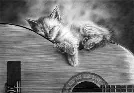 Image result for Cat sleeping in guitar