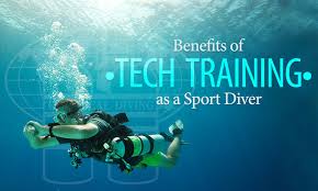 Image result for TAL Divers