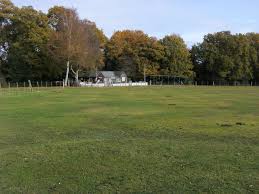 Image result for Cadnam Cricket Club