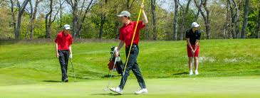 Image result for Whitehall Golf Club