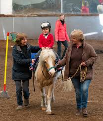 Image result for Riding For The Disabled